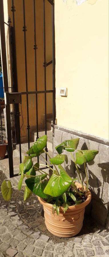 Pompei Vesevus Apartament Boscotrecase Luaran gambar